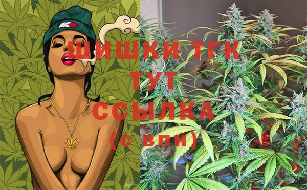индика Абаза