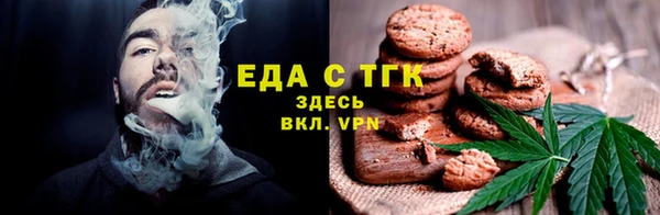 индика Абаза