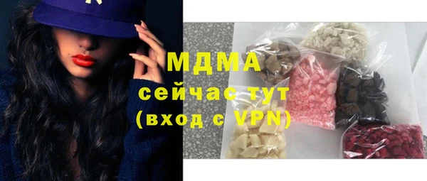 индика Абаза