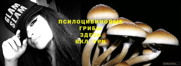 индика Абаза