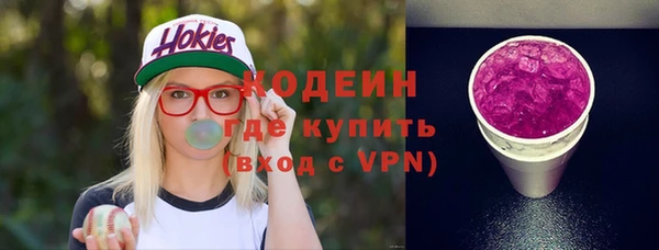 индика Абаза