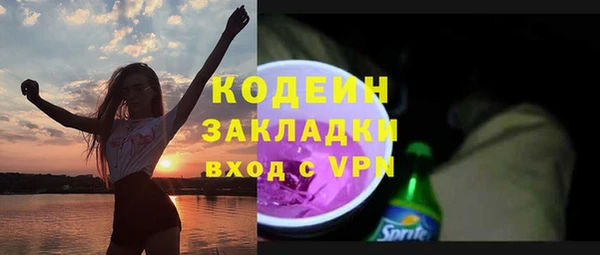 индика Абаза