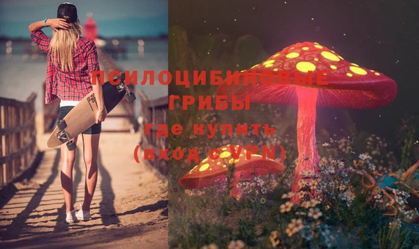 индика Абаза