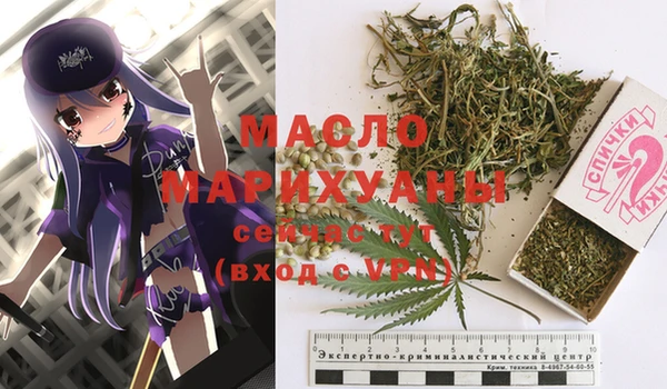 индика Абаза