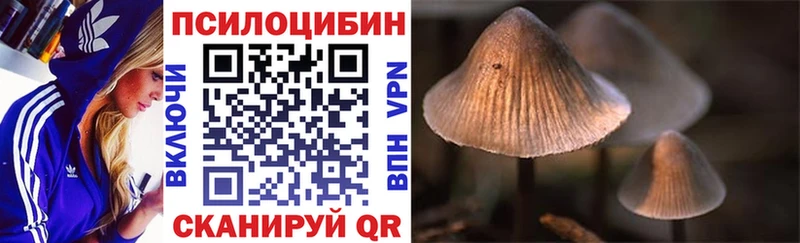 как найти наркотики Татарск Псилоцибиновые грибы Cubensis