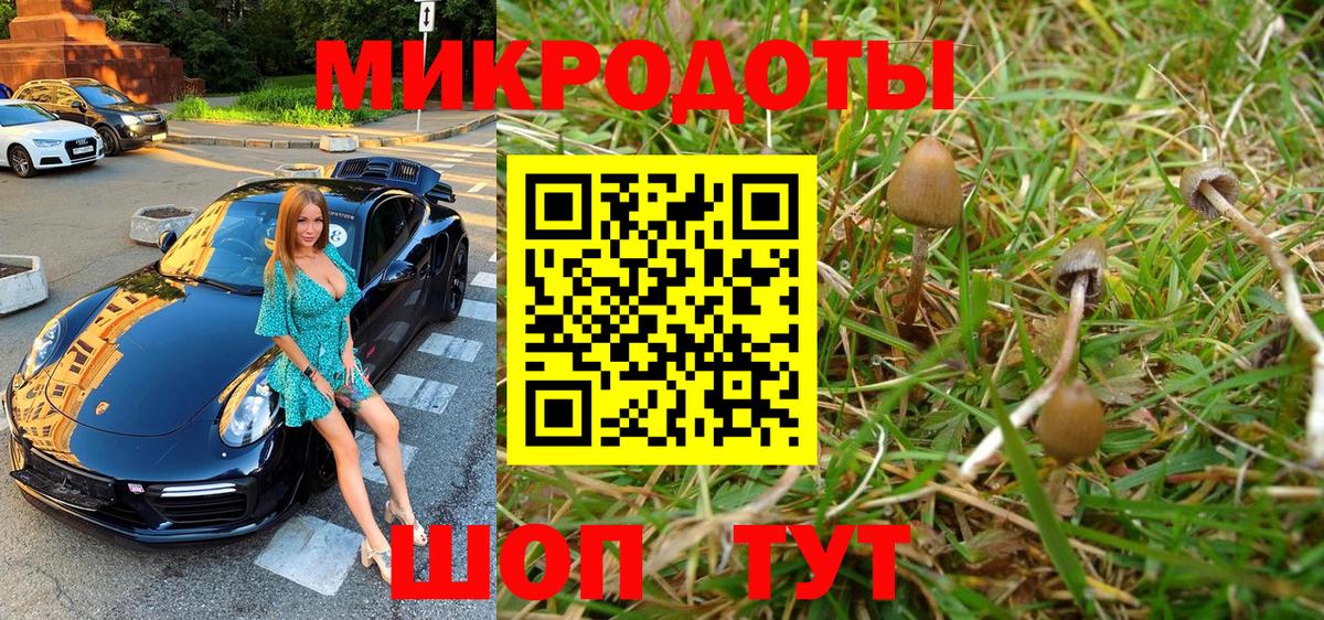 Псилоцибиновые грибы Magic Shrooms  Галлюциногенные грибы GOLDEN TEACHER  Татарск  Вход с VPN 