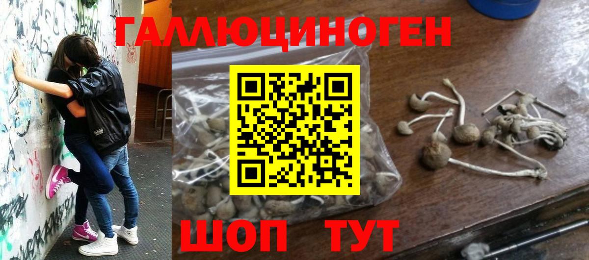 Псилоцибиновые грибы Psilocybe Татарск